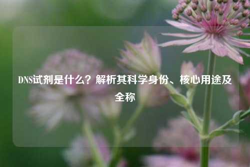 DNS试剂是什么？解析其科学身份、核心用途及全称