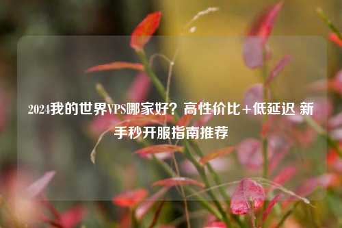 2024我的世界VPS哪家好？高性价比+低延迟 新手秒开服指南推荐