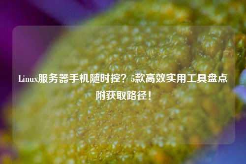 Linux服务器手机随时控？5款高效实用工具盘点附获取路径！
