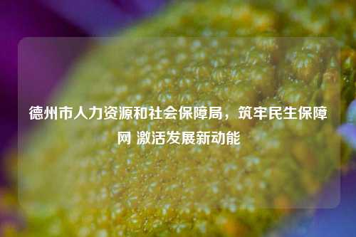 德州市人力资源和社会保障局,筑牢民生保障网 激活发展新动能
