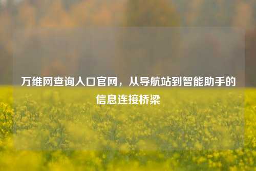 万维网查询入口官网，从导航站到智能助手的信息连接桥梁