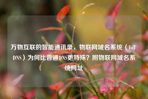万物互联的智能通讯录，物联网域名系统（IoT DNS）为何比普通DNS更特殊？附物联网域名系统网址