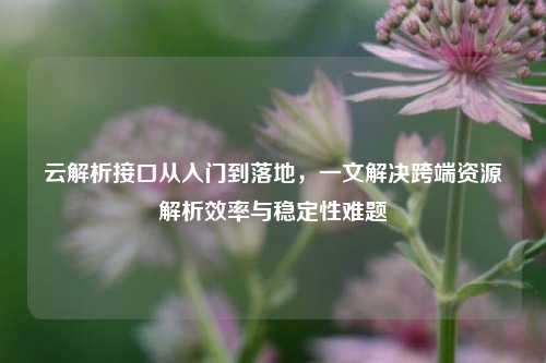 云解析接口从入门到落地,一文解决跨端资源解析效率与稳定性难题