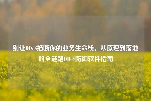别让DDoS掐断你的业务生命线，从原理到落地的全链路DDoS防御软件指南