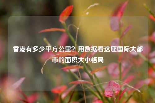香港有多少平方公里？用数据看这座国际大都市的面积大小格局