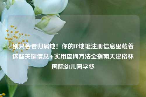 别只会看归属地！你的IP地址注册信息里藏着这些关键信息+实用查询方法全指南天津格林国际幼儿园学费