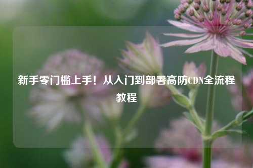 新手零门槛上手！从入门到部署高防CDN全流程教程