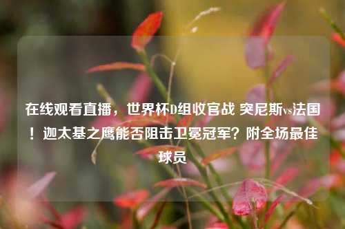 在线观看直播，世界杯D组收官战 突尼斯vs法国！迦太基之鹰能否阻击卫冕冠军？附全场最佳球员