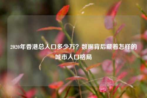 2020年香港总人口多少万?数据背后藏着怎样的城市人口格局