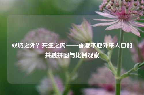 双城之外?共生之内——香港本地外来人口的共融拼图与比例观察