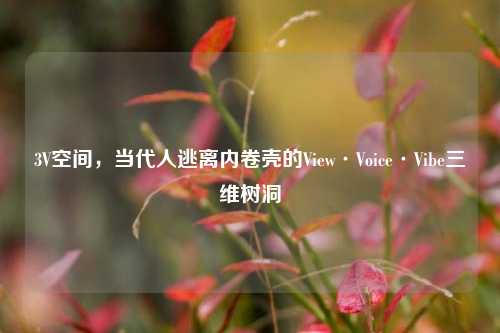 3V空间，当代人逃离内卷壳的View·Voice·Vibe三维树洞