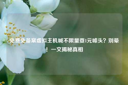 免费免备案虚拟主机喊不限量耍1元噱头?别晕!一文揭秘真相