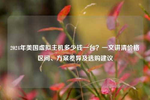 2024年美国虚拟主机多少钱一台?一文讲清价格区间、方案差异及选购建议