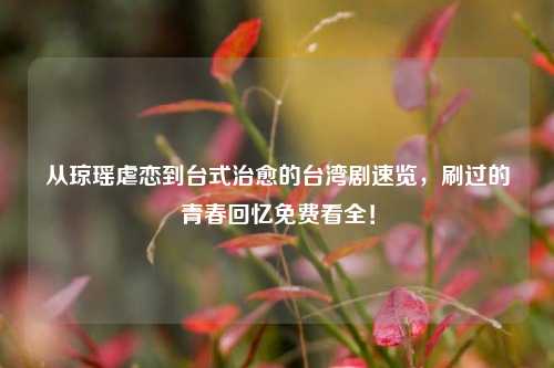 从琼瑶虐恋到台式治愈的台湾剧速览,刷过的青春回忆免费看全!
