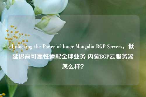 Unlocking the Power of Inner Mongolia BGP Servers,低延迟高可靠性适配全球业务 内蒙BGP云服务器怎么样?