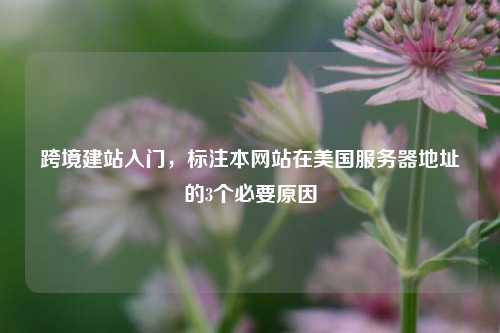 跨境建站入门，标注本网站在美国服务器地址的3个必要原因
