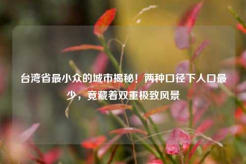 台湾省最小众的城市揭秘！两种口径下人口最少，竟藏着双重极致风景
