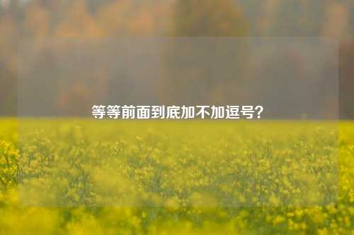 等等前面到底加不加逗号?