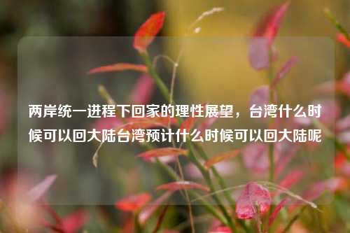 两岸统一进程下回家的理性展望,台湾什么时候可以回大陆台湾预计什么时候可以回大陆呢