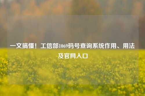 一文搞懂!工信部1069码号查询系统作用、用法及官网入口