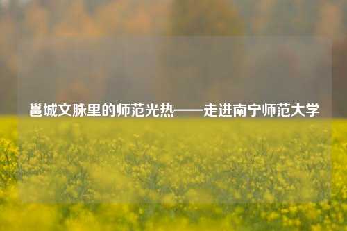 邕城文脉里的师范光热——走进南宁师范大学