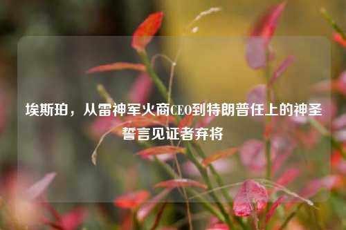 埃斯珀,从雷神军火商CEO到特朗普任上的神圣誓言见证者弃将