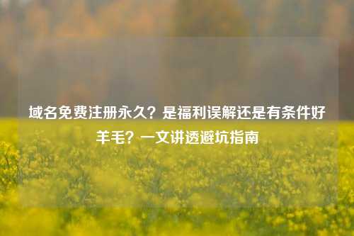 域名免费注册永久？是福利误解还是有条件好羊毛？一文讲透避坑指南