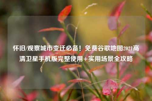 怀旧/观察城市变迁必备！免费谷歌地图2021高清卫星手机版完整使用+实用场景全攻略