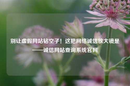 别让虚假网站钻空子!这把网络诚信放大镜是——诚信网站查询系统官网