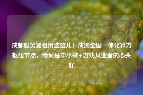 成都服务器租用选这儿！成渝全国一体化算力枢纽节点，缘何是中小微+游戏从业者的心头好