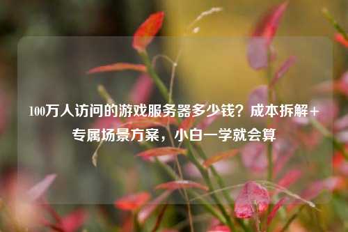 100万人访问的游戏服务器多少钱？成本拆解+专属场景方案，小白一学就会算
