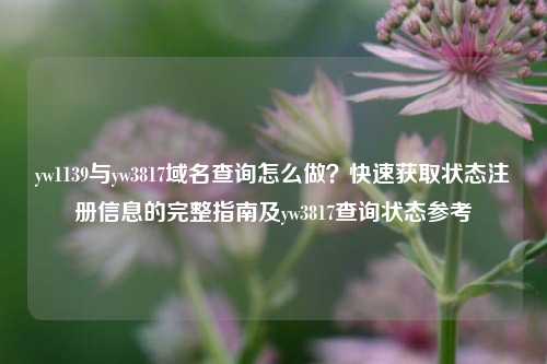 yw1139与yw3817域名查询怎么做？快速获取状态注册信息的完整指南及yw3817查询状态参考