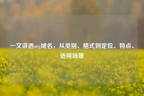 一文讲透org域名，从类别、格式到定位、特点、适用场景