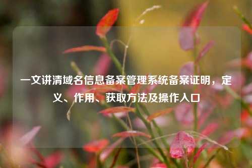 一文讲清域名信息备案管理系统备案证明，定义、作用、获取方法及操作入口