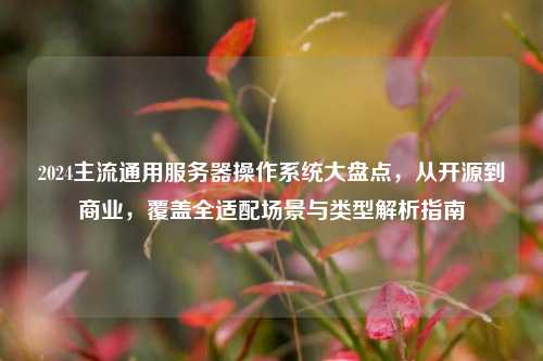2024主流通用服务器操作系统大盘点,从开源到商业,覆盖全适配场景与类型解析指南