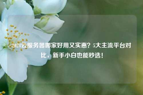 2024云服务器哪家好用又实惠?5大主流平台对比,新手小白也能秒选!