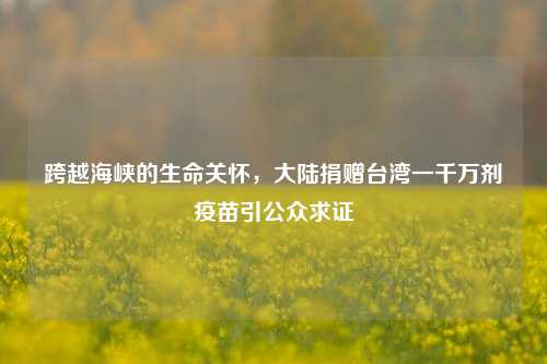 跨越海峡的生命关怀，大陆捐赠台湾一千万剂疫苗引公众求证