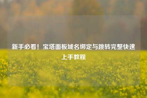 新手必看!宝塔面板域名绑定与跳转完整快速上手教程