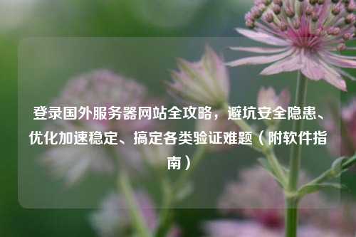 登录国外服务器网站全攻略，避坑安全隐患、优化加速稳定、搞定各类验证难题（附软件指南）