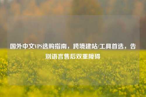 国外中文VPS选购指南，跨境建站/工具首选，告别语言售后双重障碍