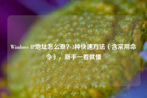 Windows IP地址怎么查？3种快速方法（含常用命令），新手一看就懂