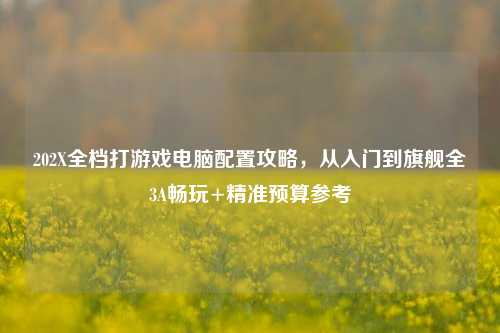 202X全档打游戏电脑配置攻略,从入门到旗舰全3A畅玩+精准预算参考