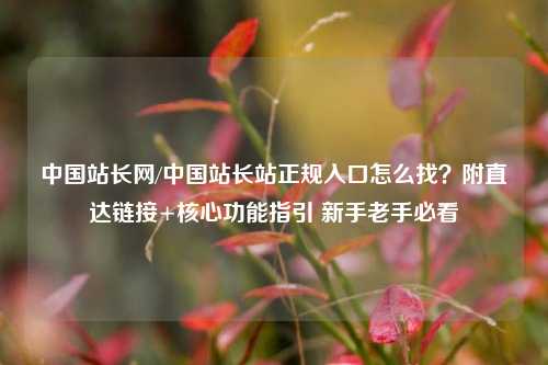 中国站长网/中国站长站正规入口怎么找?附直达链接+核心功能指引 新手老手必看