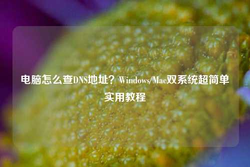 电脑怎么查DNS地址?Windows/Mac双系统超简单实用教程