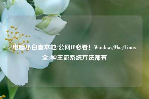 电脑小白查本地/公网IP必看！Windows/Mac/Linux全3种主流系统方法都有