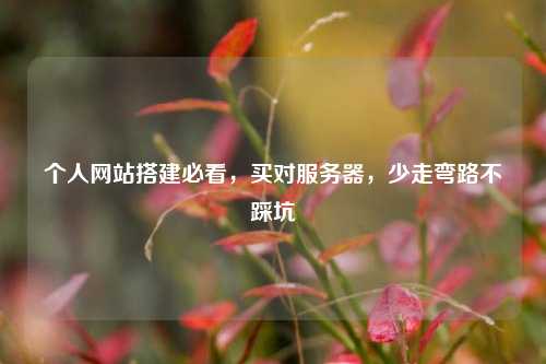 个人网站搭建必看,买对服务器,少走弯路不踩坑