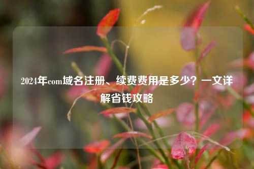 2024年com域名注册、续费费用是多少？一文详解省钱攻略