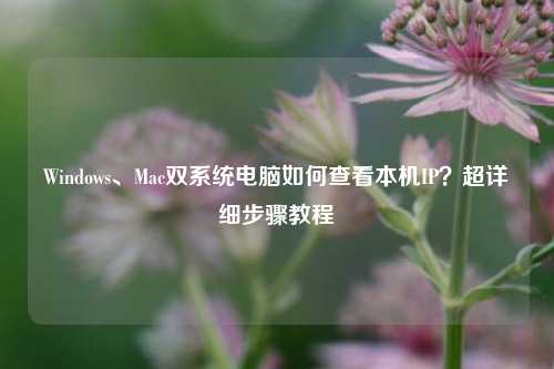 Windows、Mac双系统电脑如何查看本机IP?超详细步骤教程
