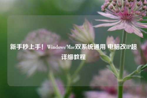 新手秒上手!Windows/Mac双系统通用 电脑改IP超详细教程