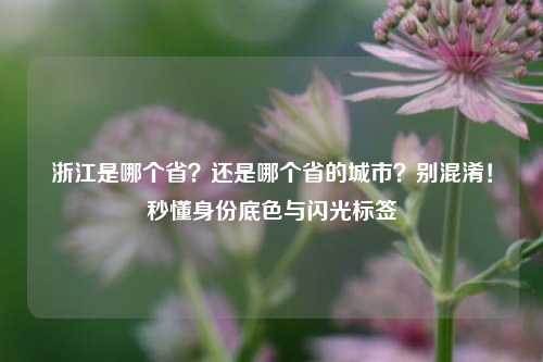浙江是哪个省?还是哪个省的城市?别混淆!秒懂身份底色与闪光标签